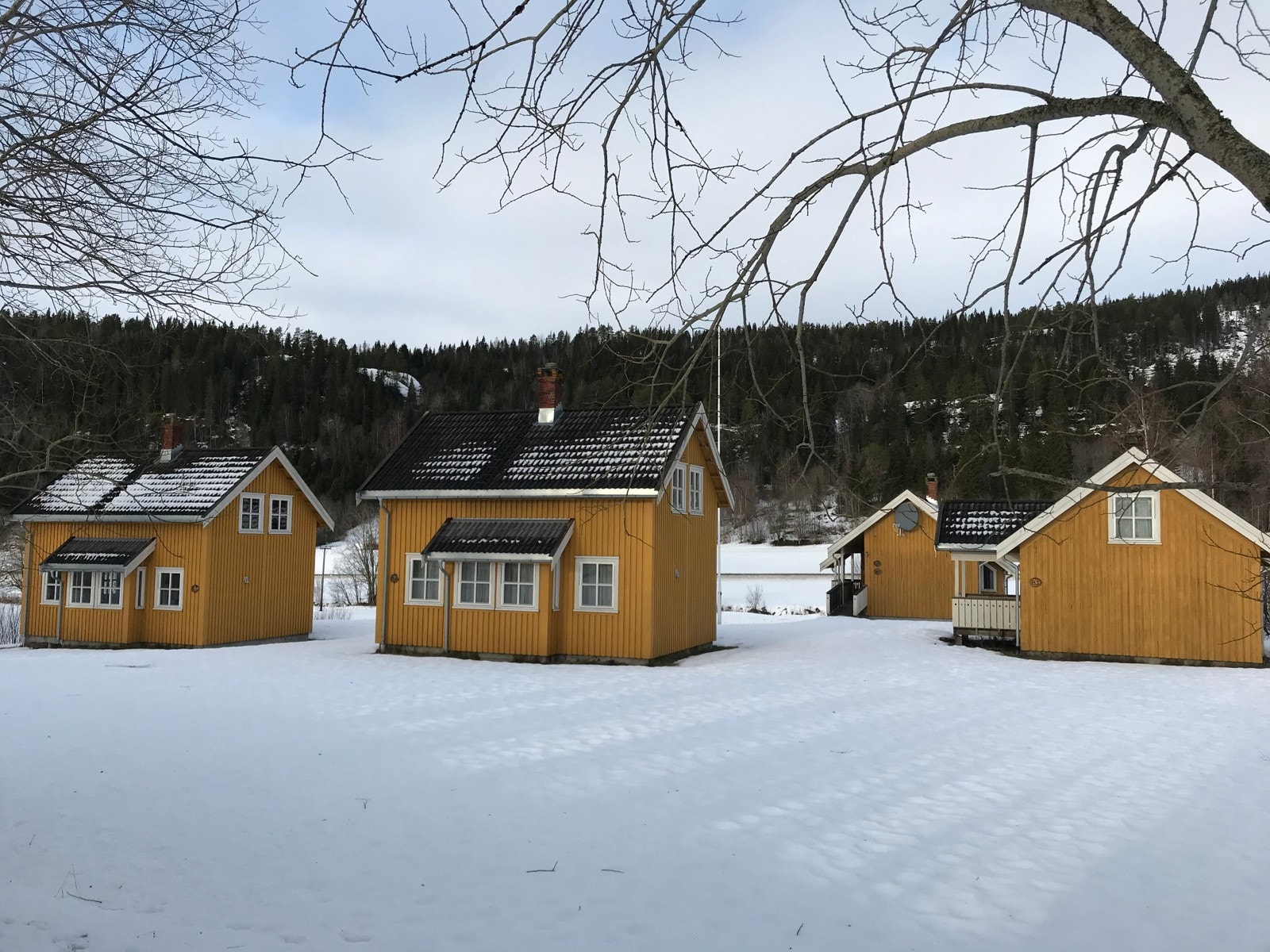 Utleiehytter Galleribilde