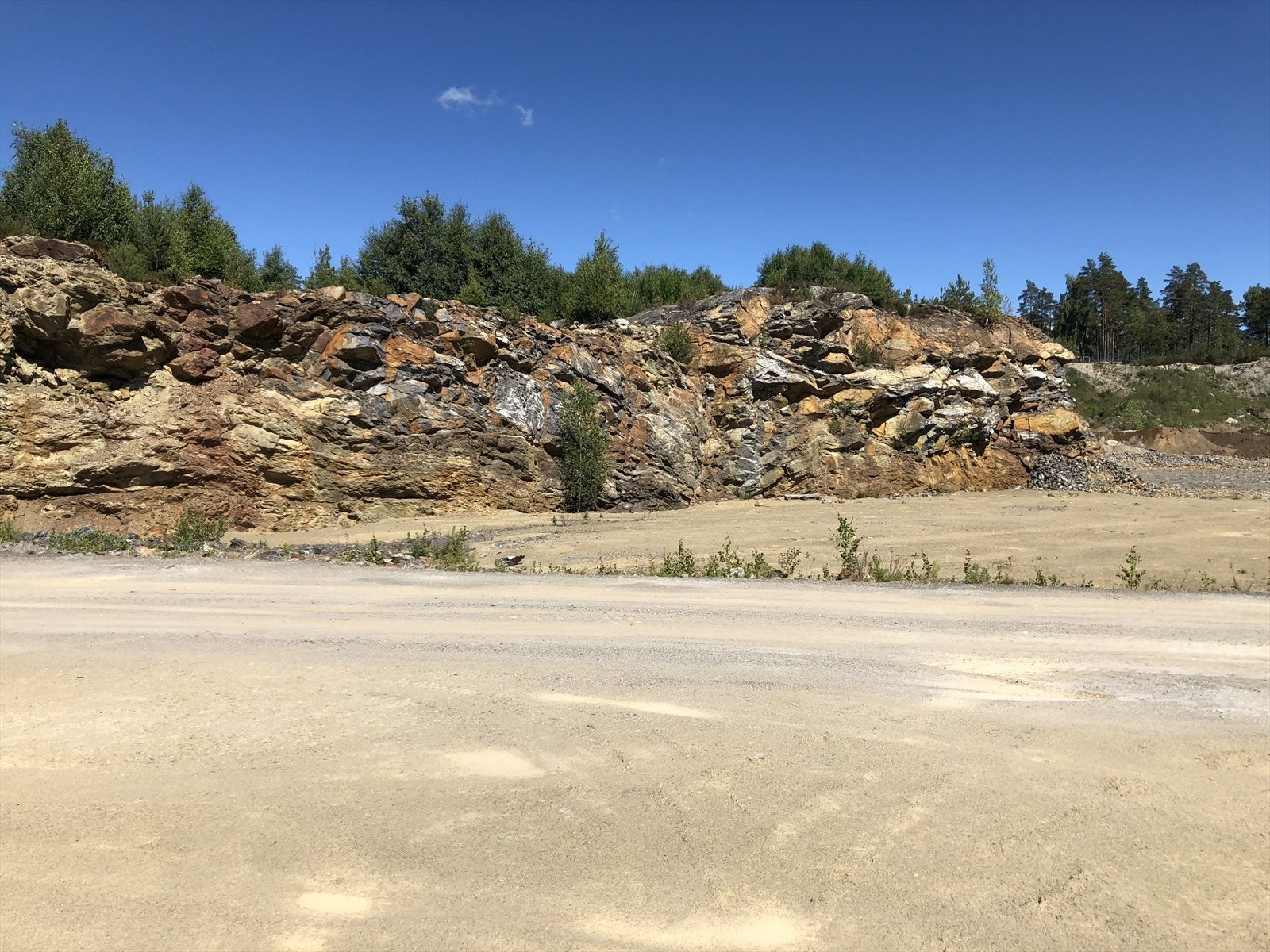 16796825.jpg Galleribilde