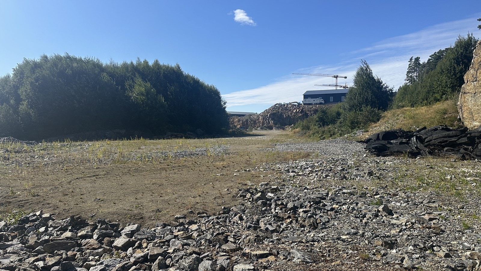 IMG_3144.jpeg Galleribilde