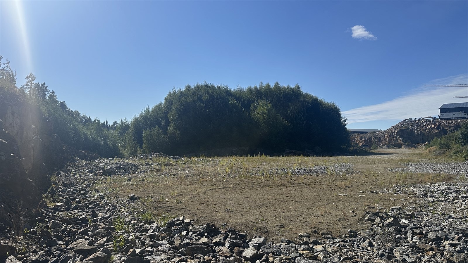 IMG_3145.jpeg Galleribilde