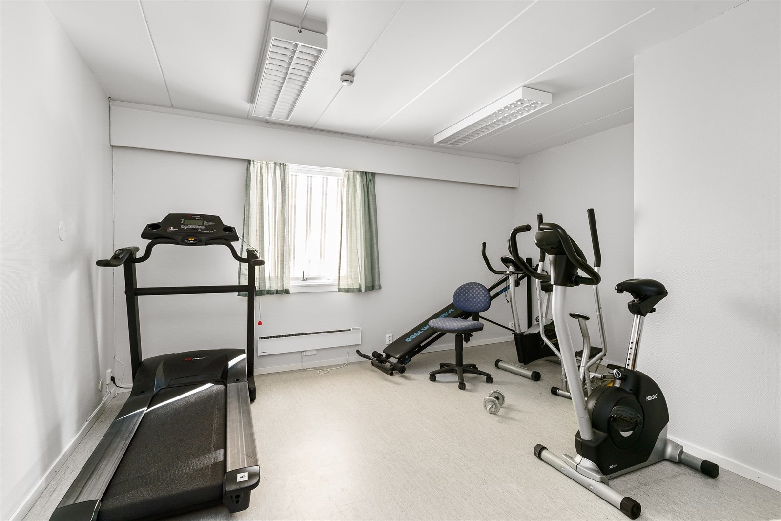 trimrom01.jpg Galleribilde