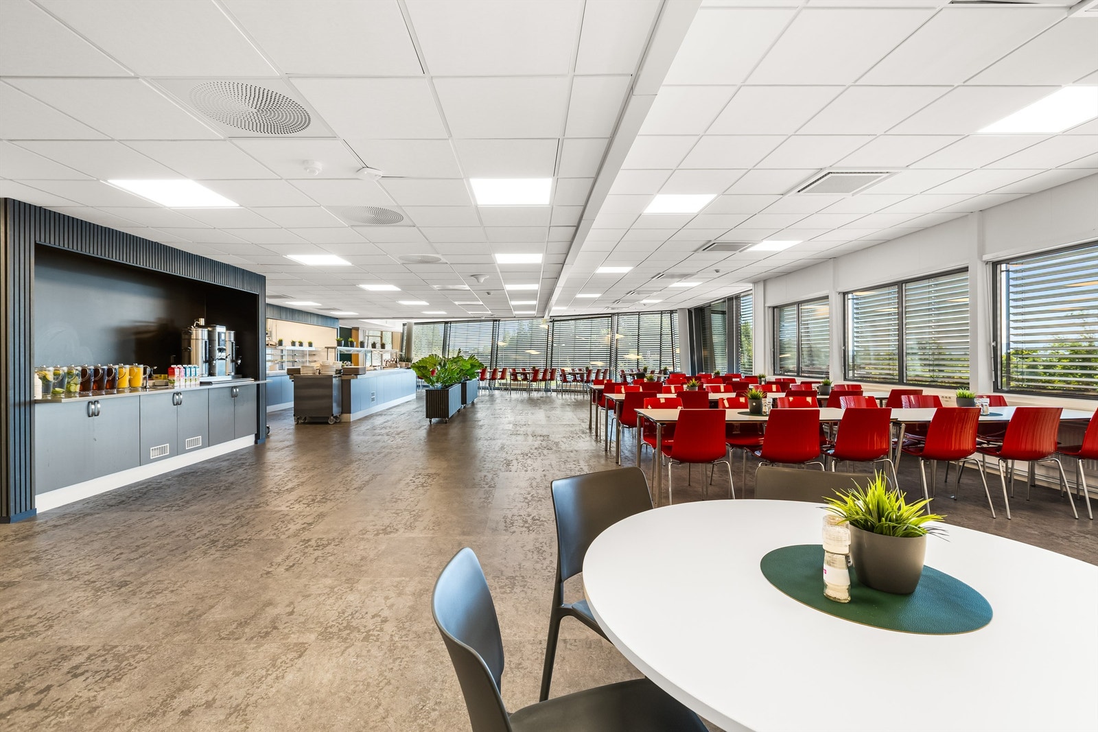 Hyggelig kantine med fersk lunsj hver dag Galleribilde