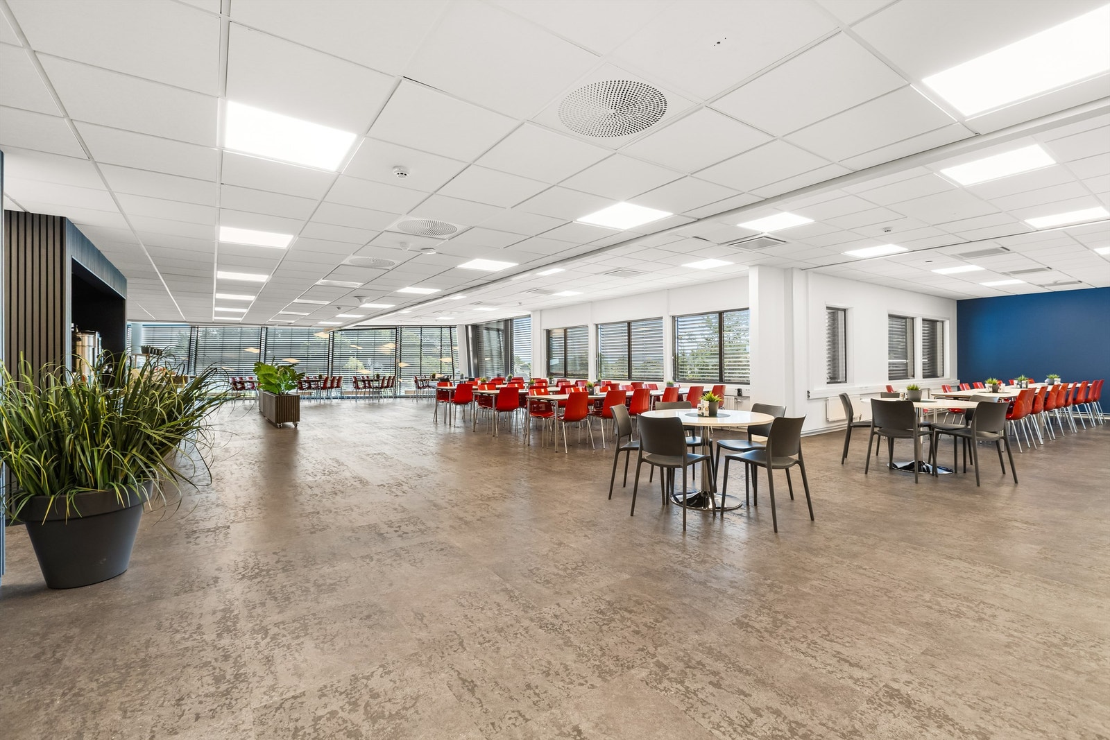 Hyggelig kantine med fersk lunsj hver dag Galleribilde