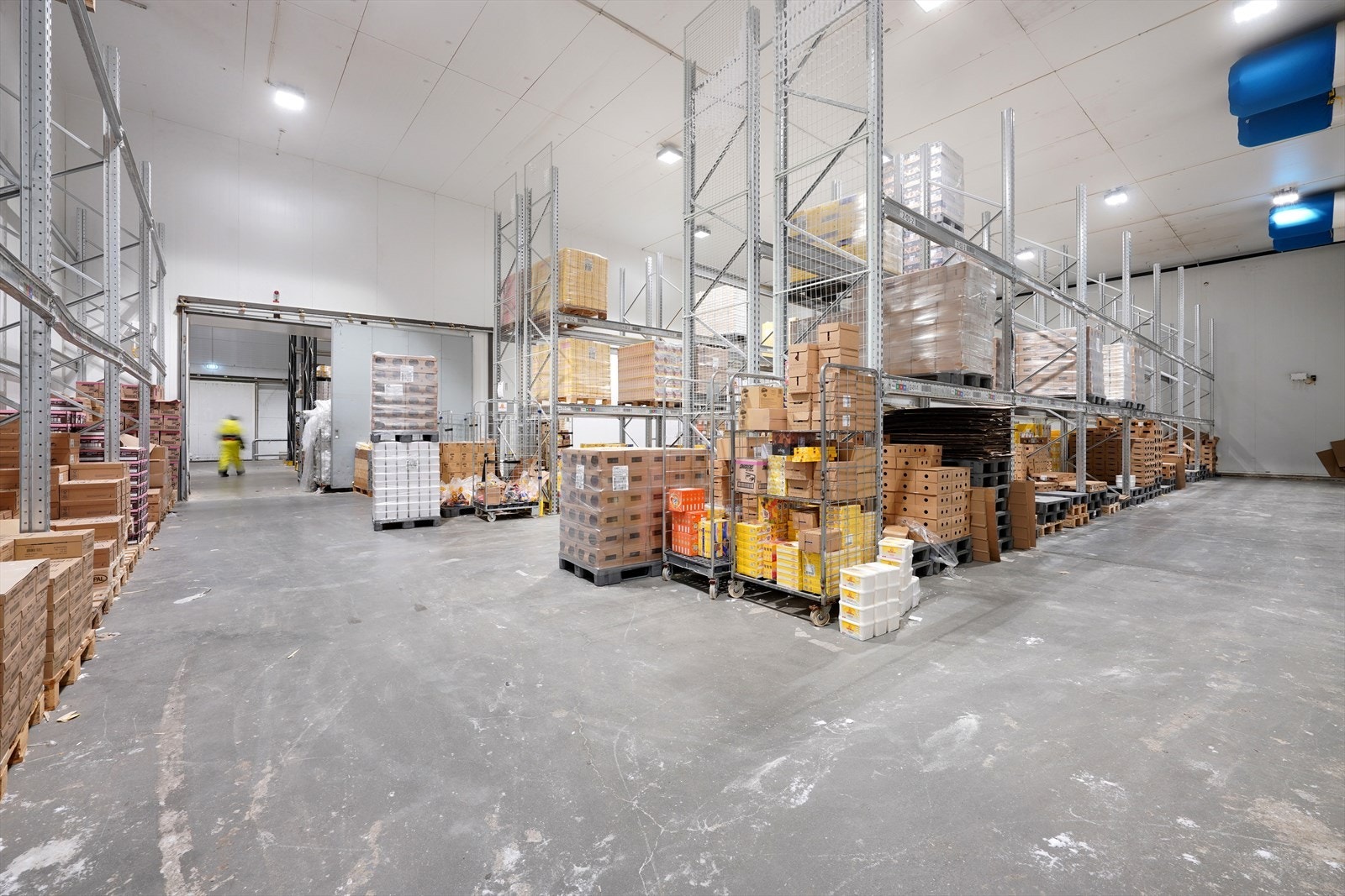 FCL04582 Galleribilde