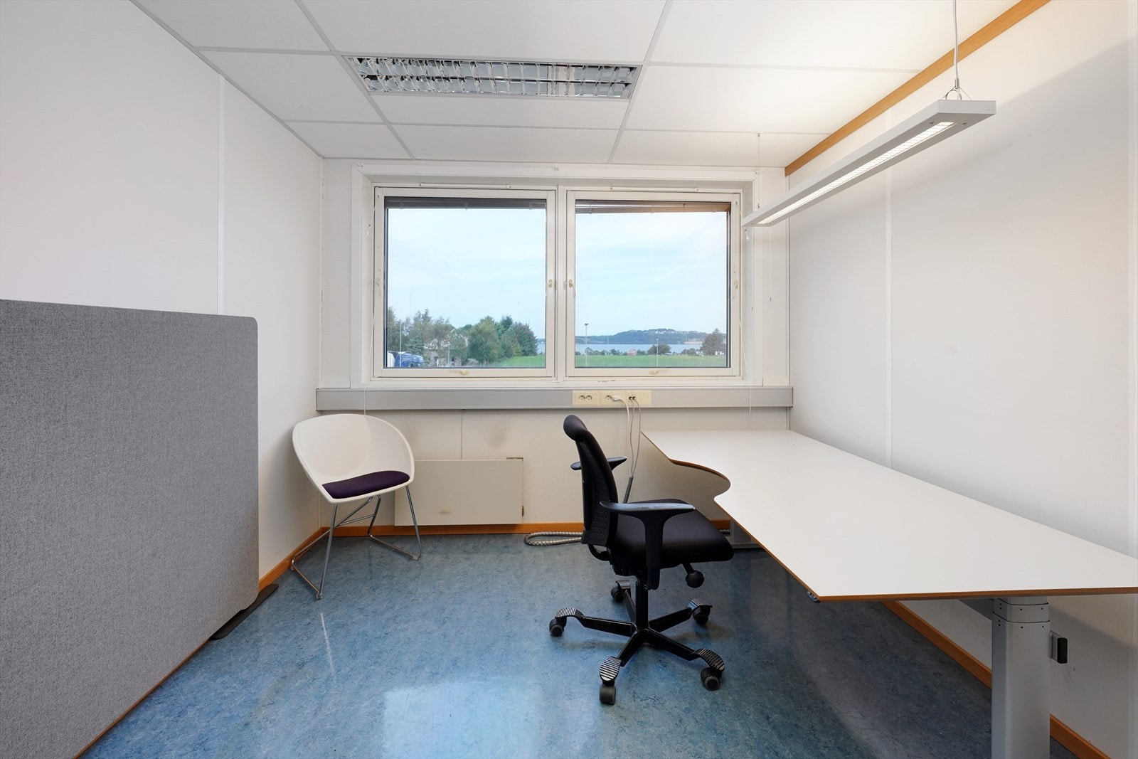 FCL04539 Galleribilde