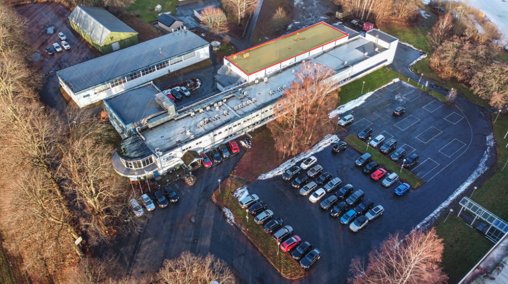 Markert i gult Galleribilde