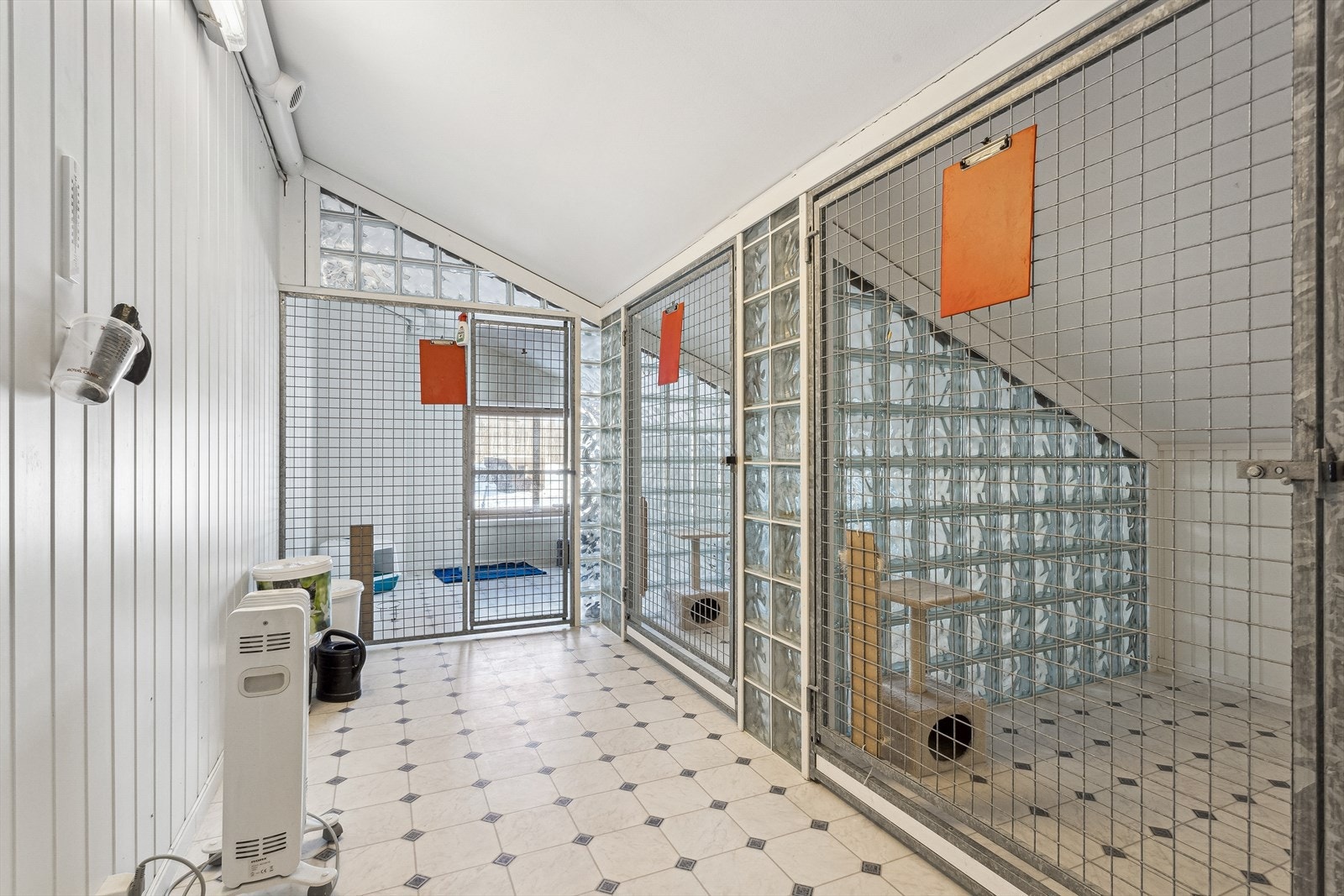 Katteavdeling. Galleribilde