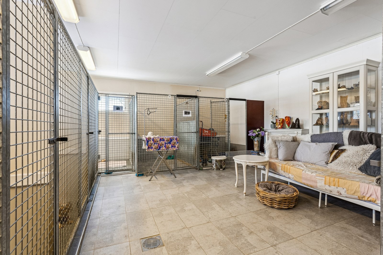 Egen avdeling om man ønsker å ha egne hunder på stedet. Galleribilde