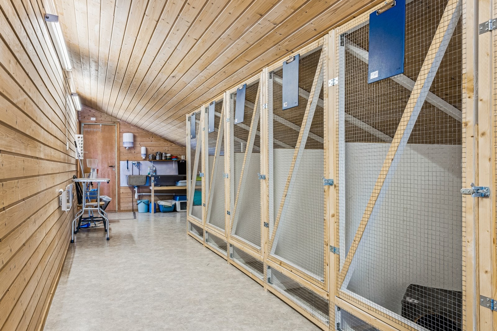 Katteavdeling. Galleribilde