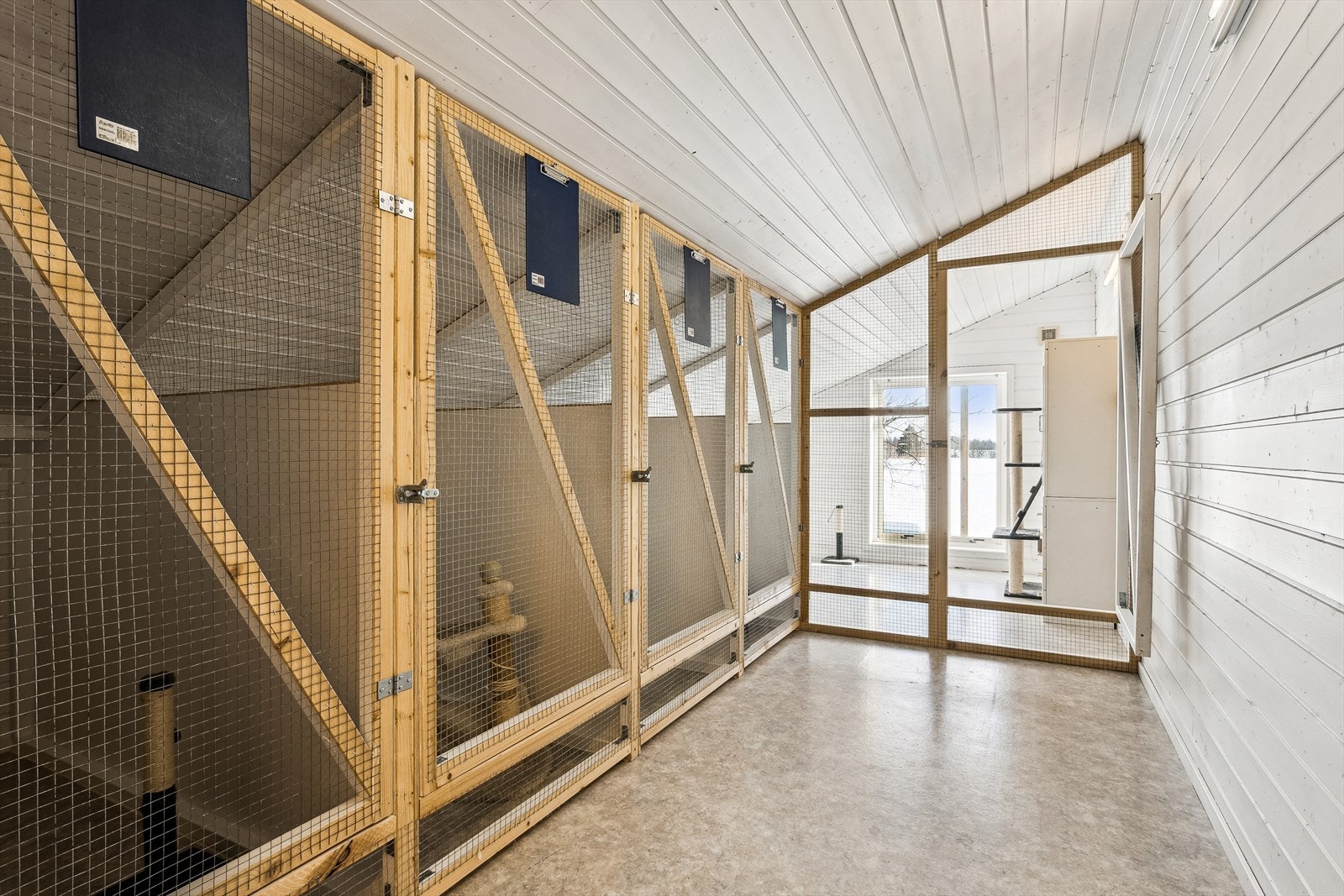 Katteavdeling. Galleribilde