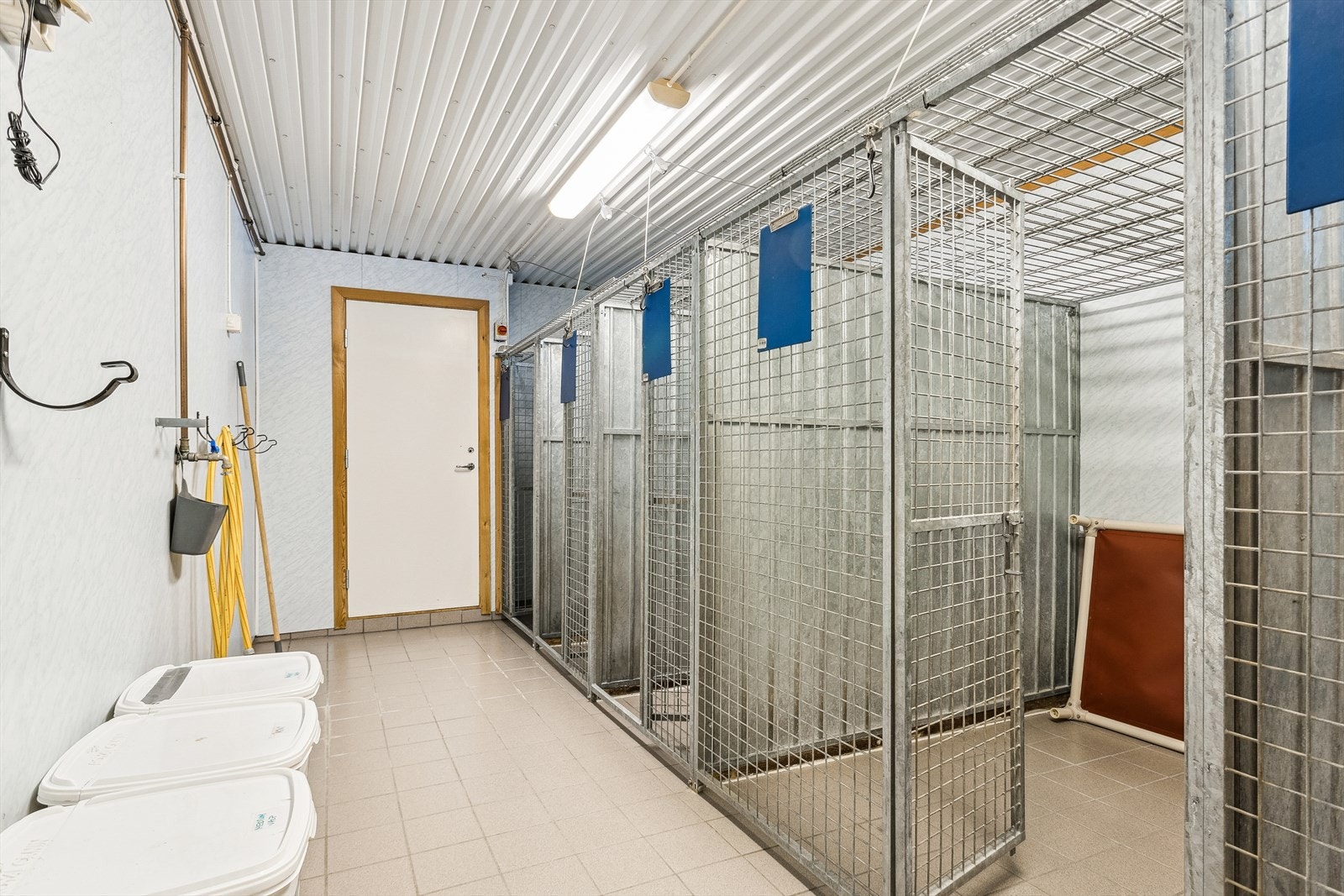 Hundekennel. Galleribilde