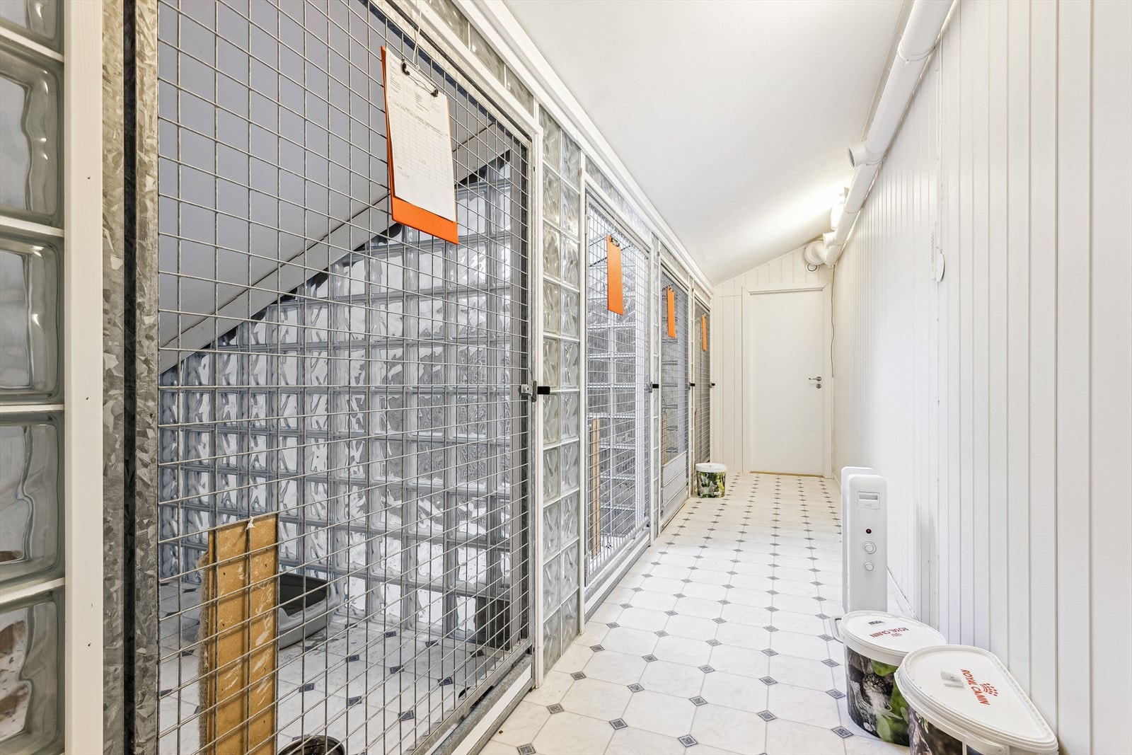 Katteavdeling. Galleribilde