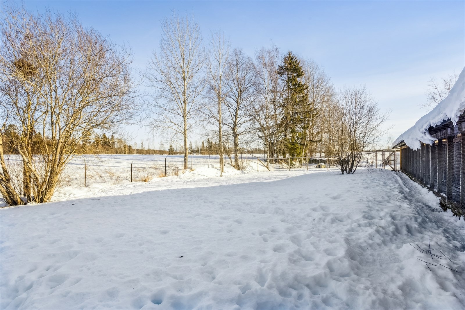Store uteområder. Galleribilde