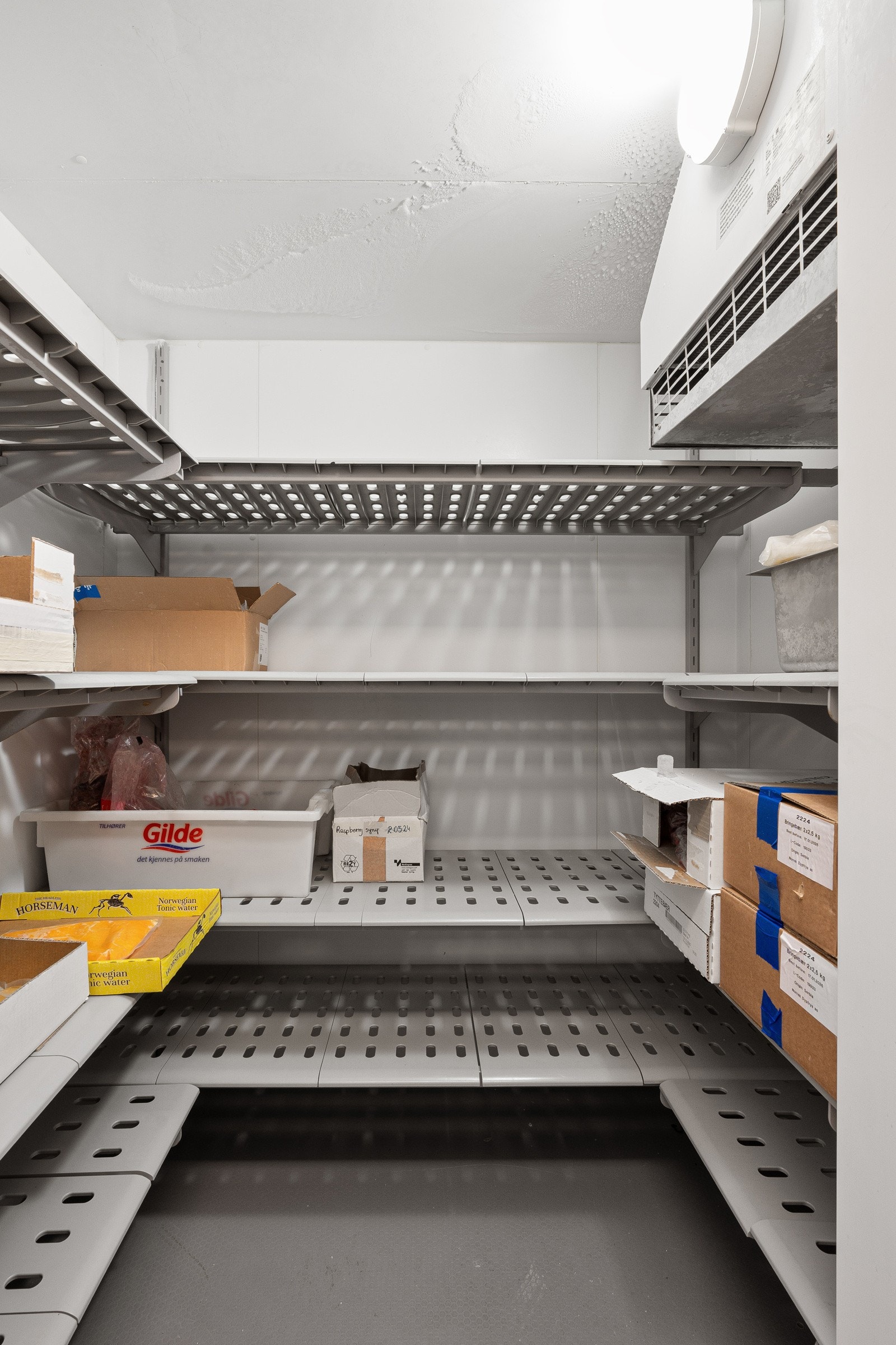 Fryserom Galleribilde