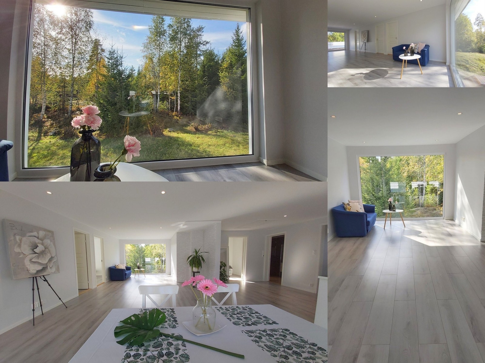 Salongen har flott panoramautsikt over naturen. Her har du lyng, juletrær, steiner og blå himmel! Med denne utsikten vil du drikke din favorittkaffe Galleribilde