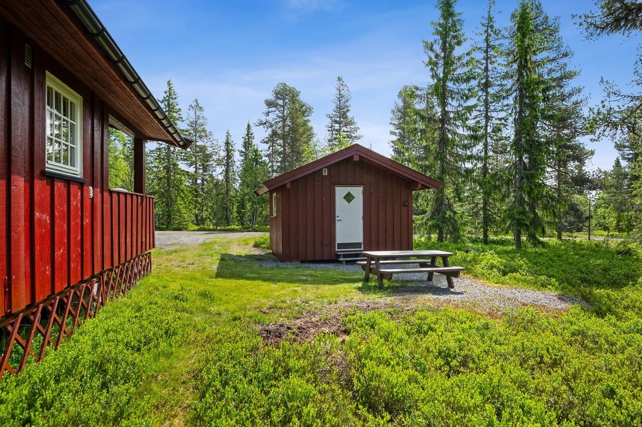 Flere solrike uteplasser innbyr til hyggelige måltider og rolige stunder i naturen. Galleribilde