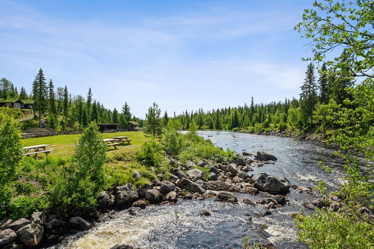 Området byr på idylliske elver og rasteplasser - perfekt for fiske, bading og piknik. Galleribilde