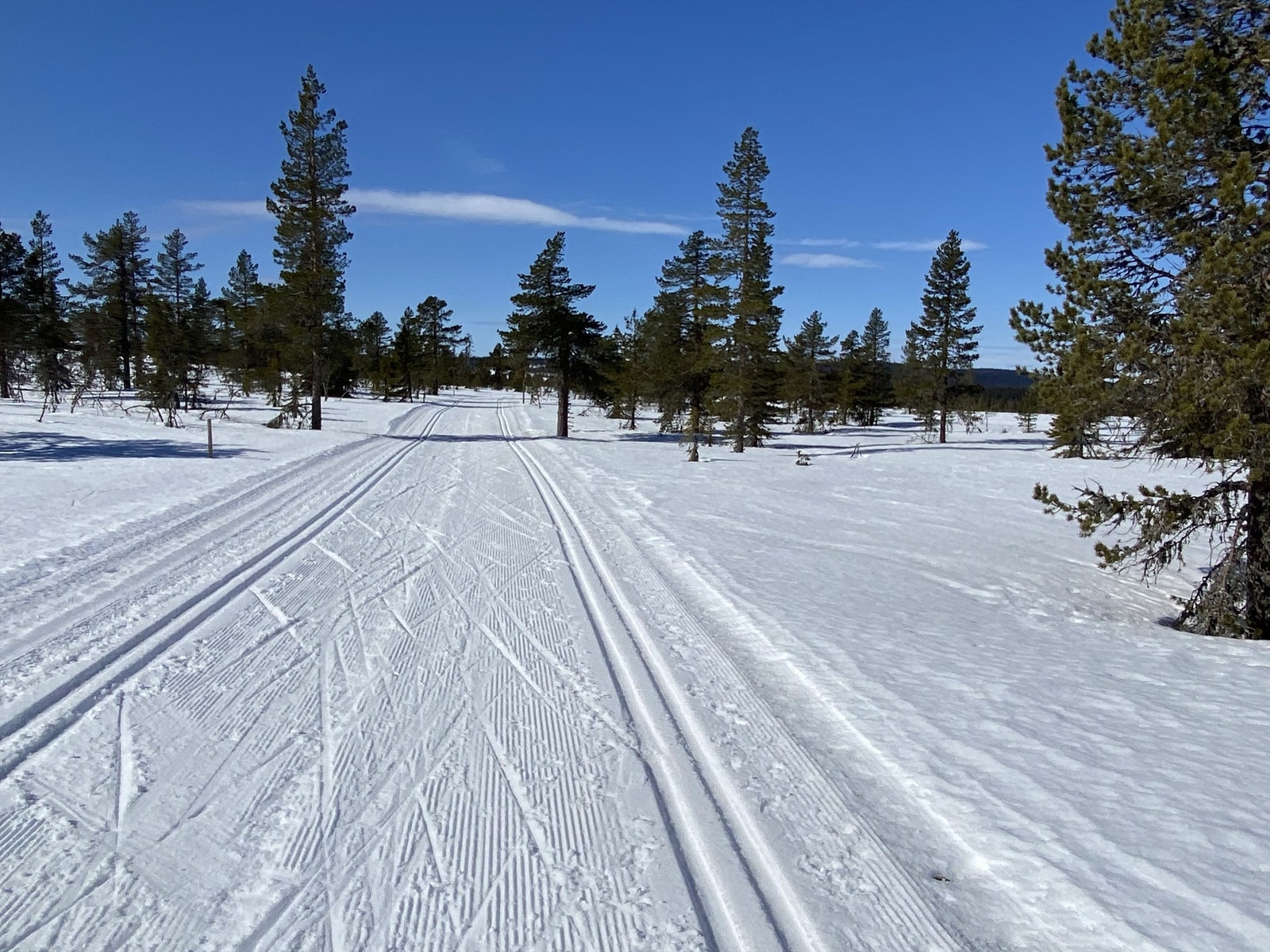 Vinteridyll - selgers eget bilde Galleribilde