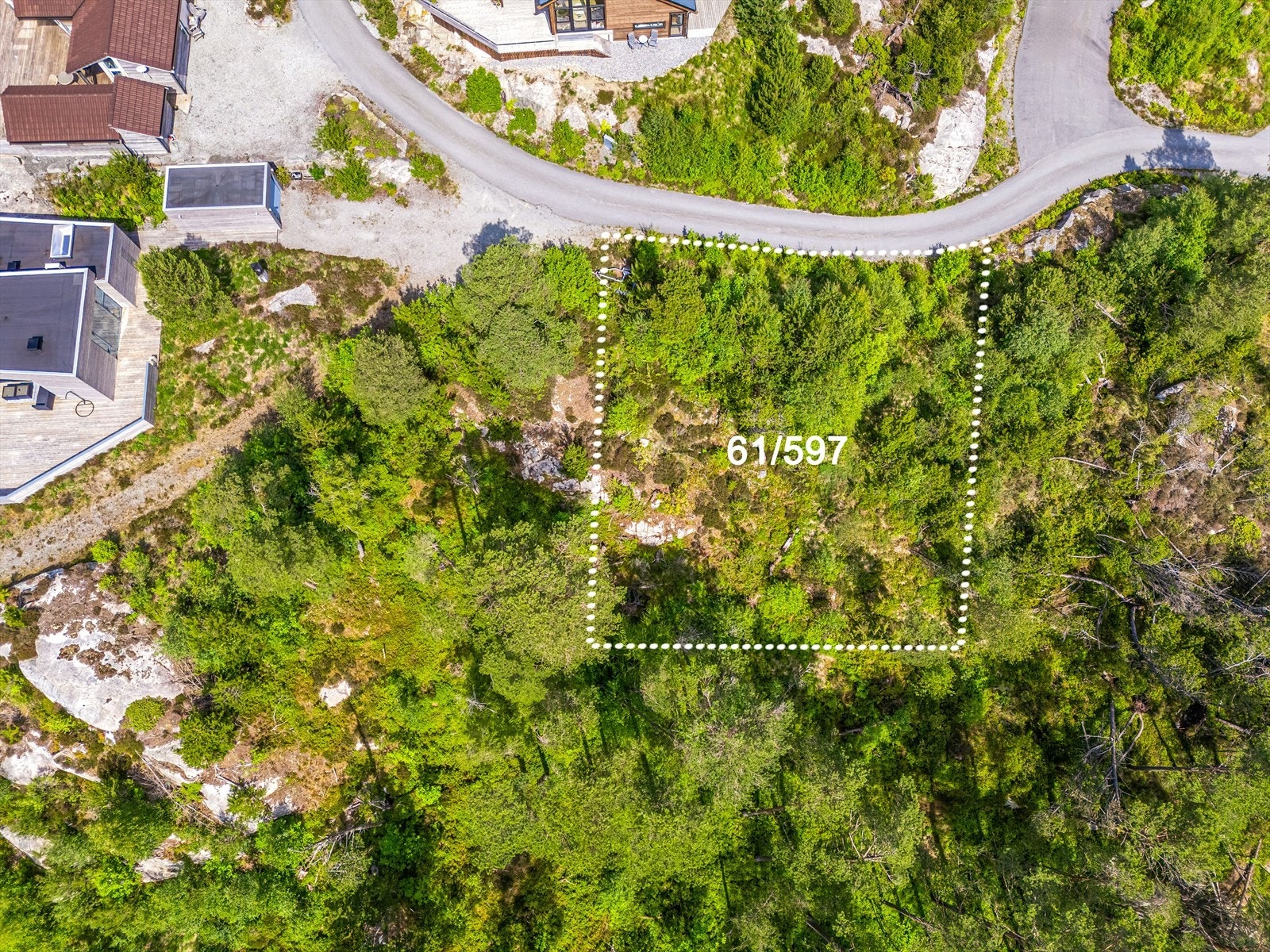 Bnr. 597 Galleribilde