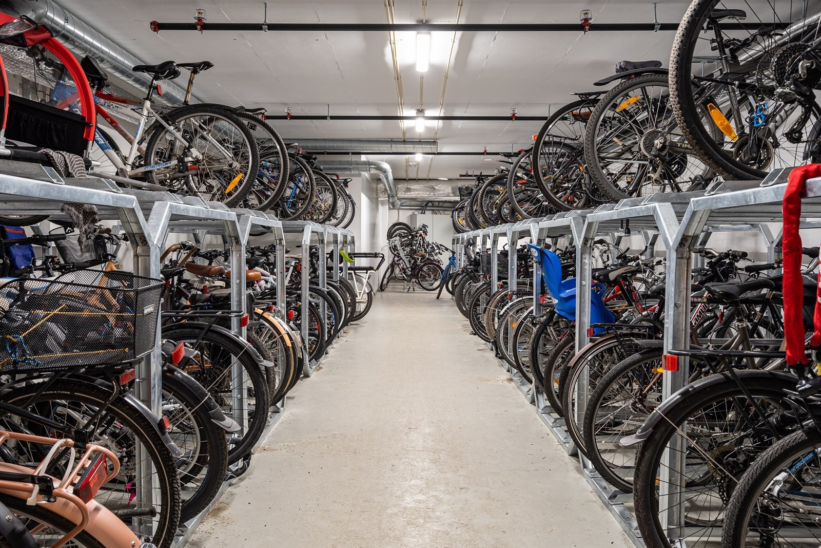 Sykkelparkering i kjeller. Galleribilde