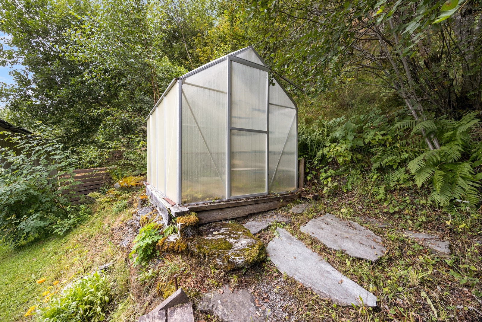 Drivhus Galleribilde