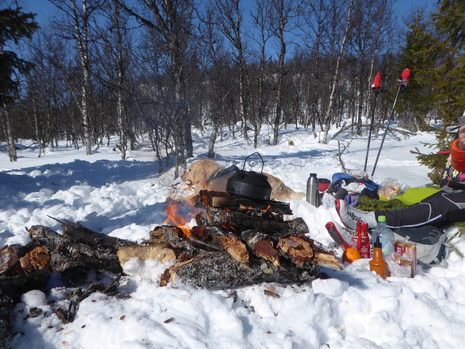 Fine forhold for friluftsliv og bålkos.
Bilde tatt av selger. Galleribilde