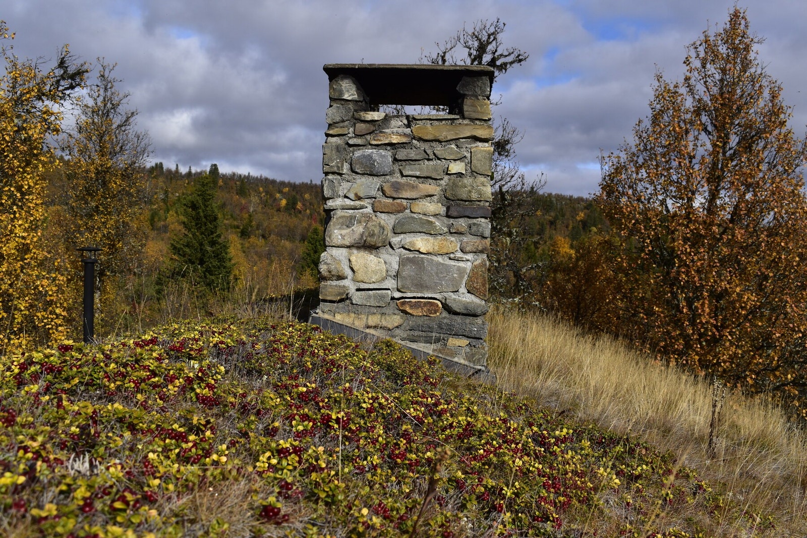 Kortreist tyttebærtur på hyttetaket!
Bilde tatt av selger. Galleribilde
