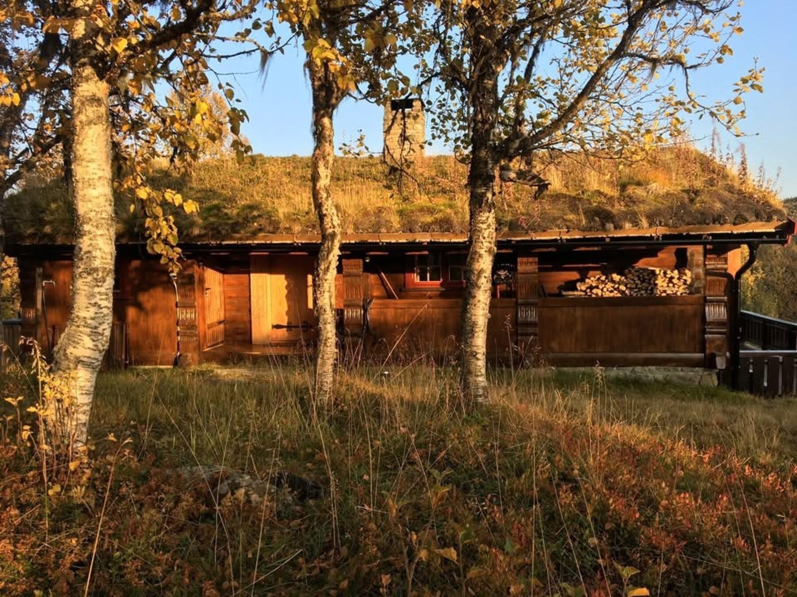 Hytta utvendig på høsten Galleribilde