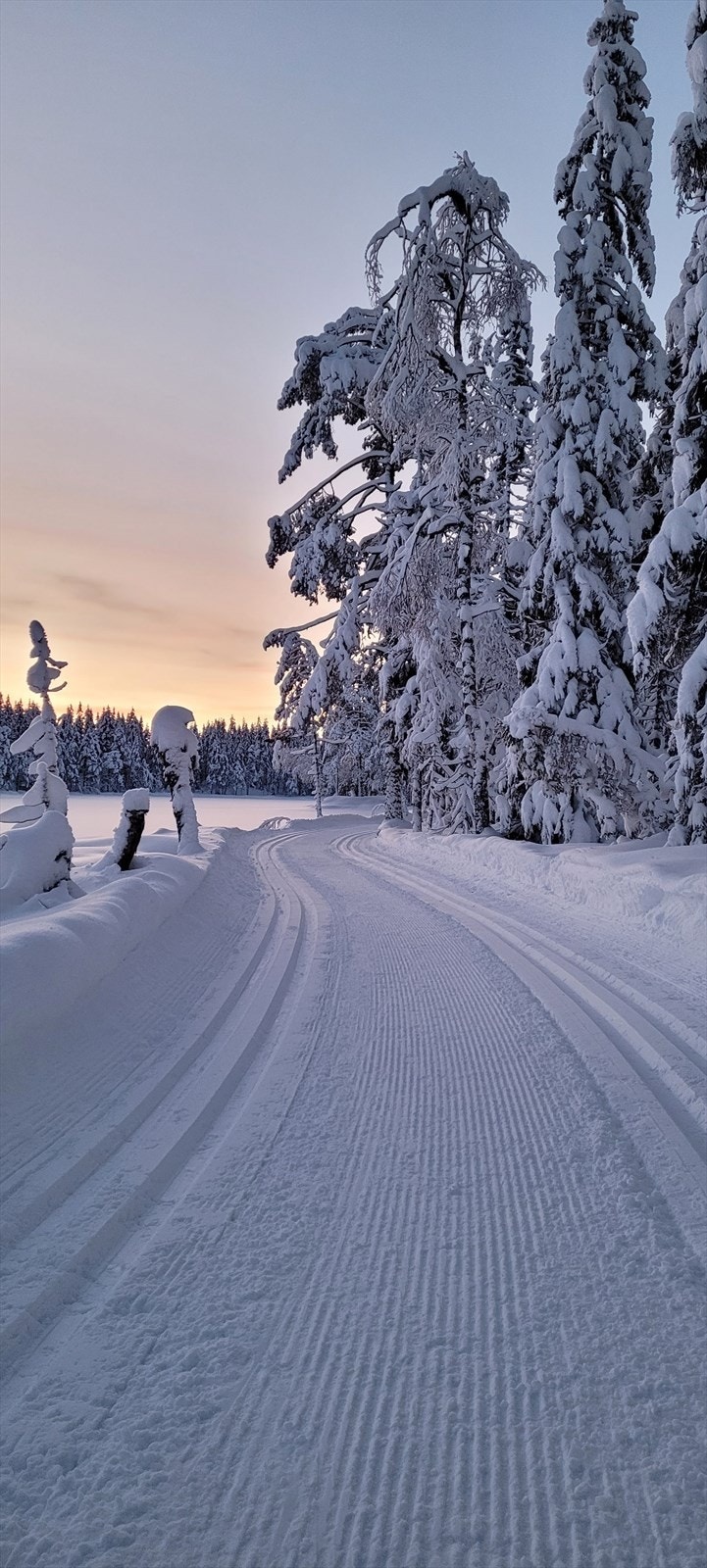 Meglers eget bilde fra de flotte skiløypene i marka. Galleribilde