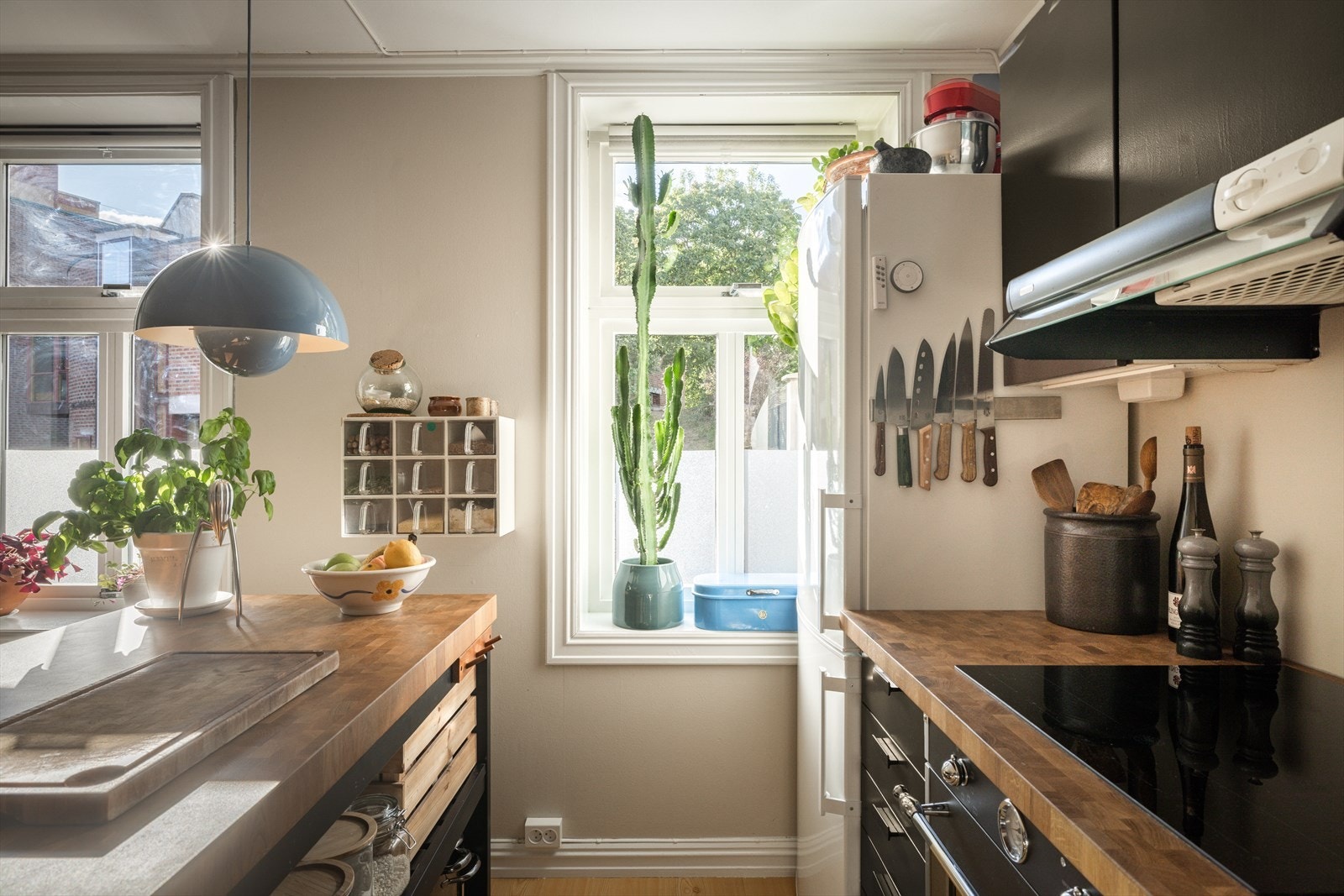 Integrert komfyr, induksjonstopp og oppvaskmaskin. Stål vaskekum nedfelt i benkeplate i heltre Galleribilde