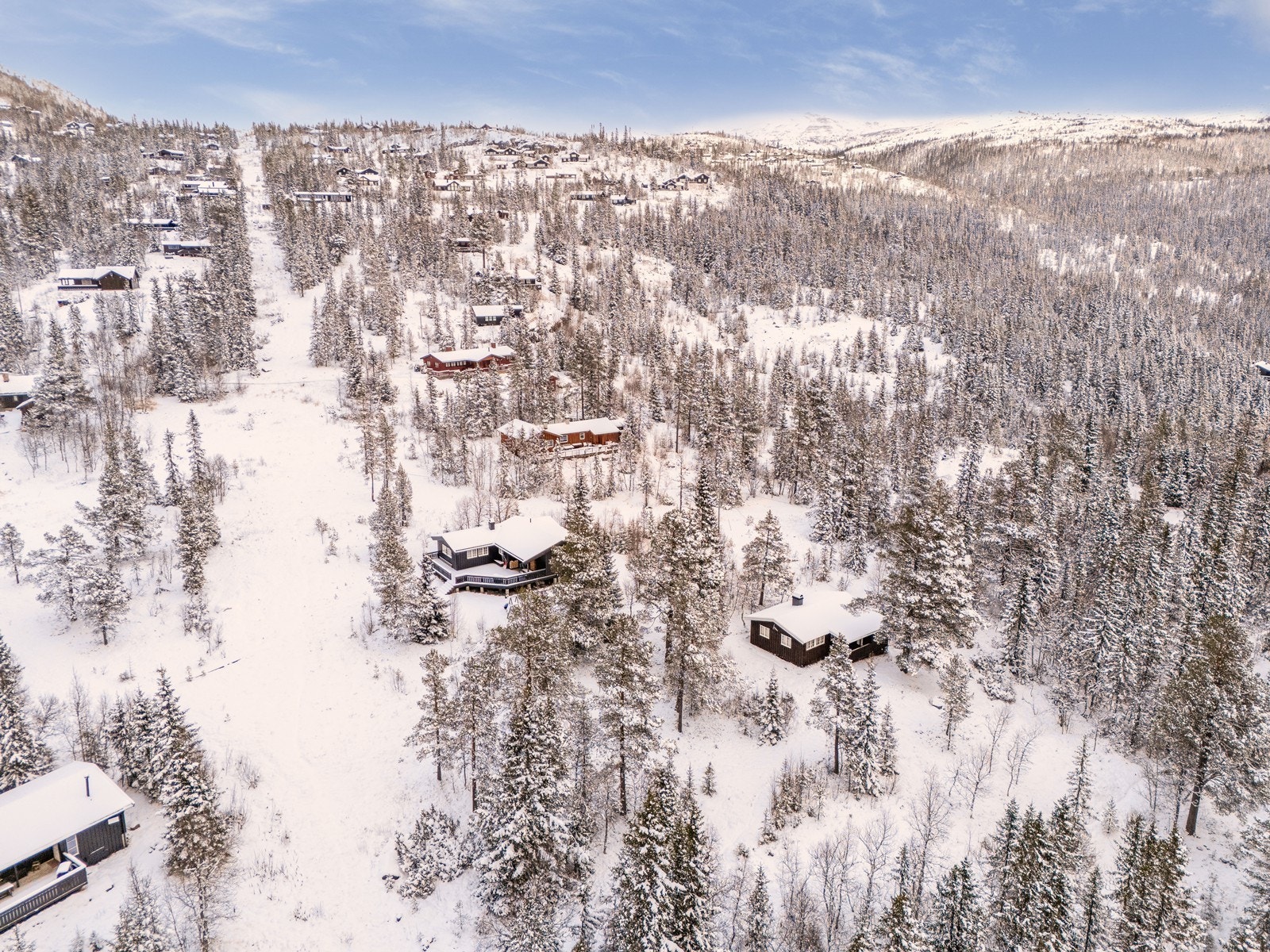 Velkommen til en hyggelig visning! Galleribilde