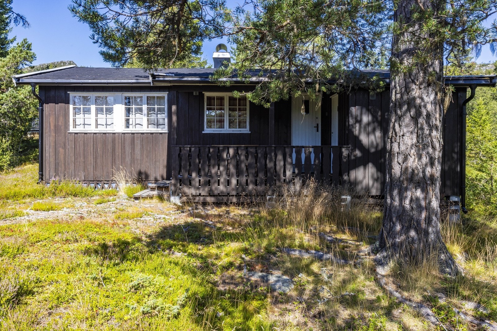 Hytta ligger fint til med skiløypa rett ved vinterstid, god avstand til nabohytter Galleribilde