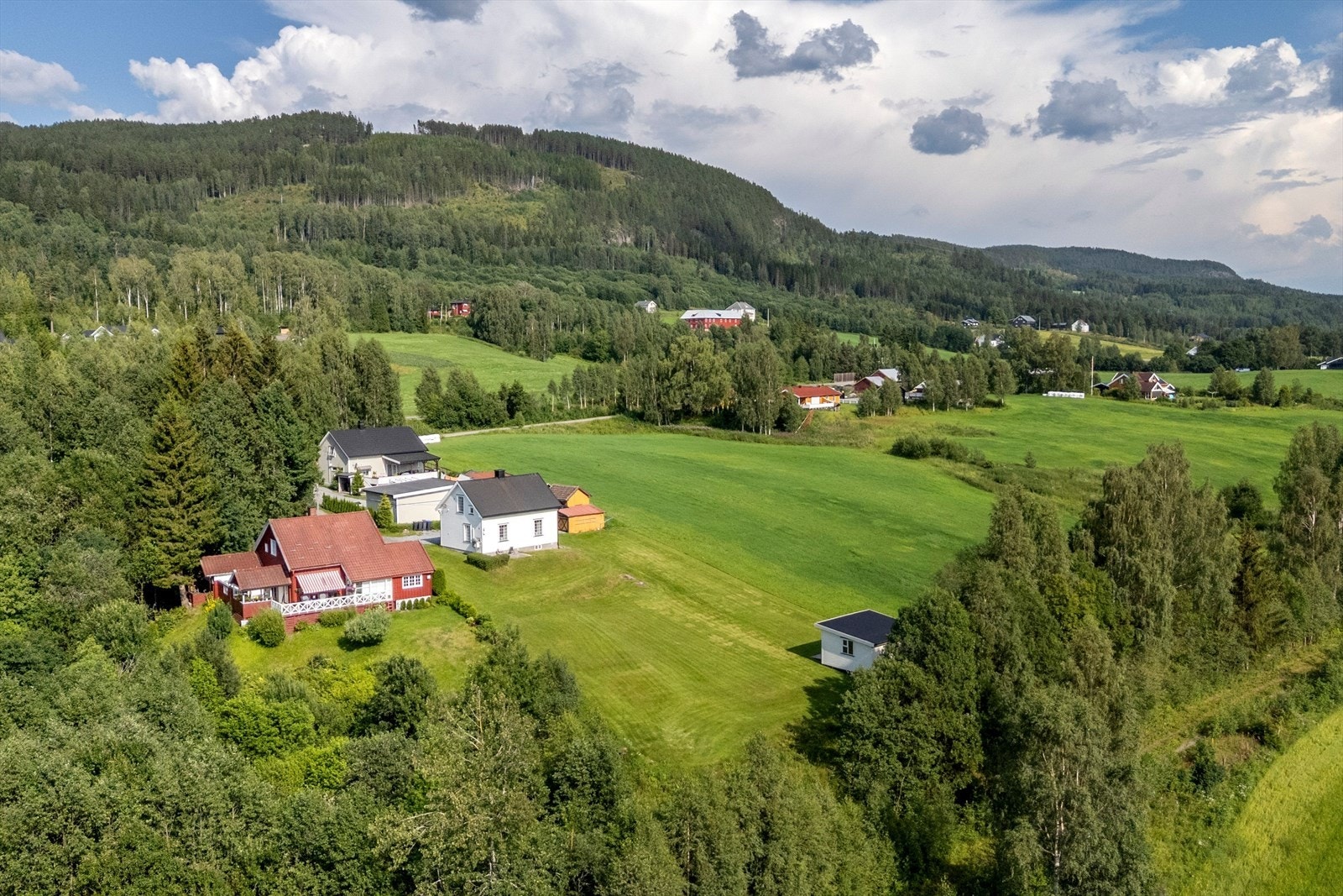 Områdebilde. Galleribilde