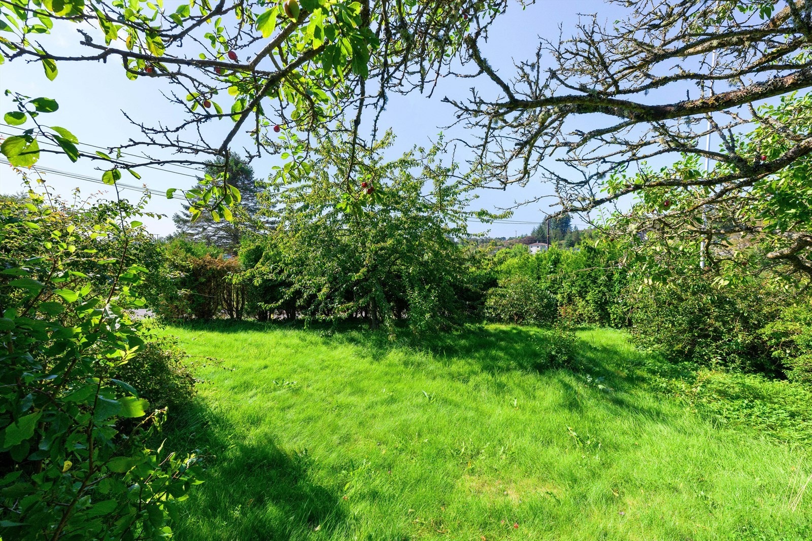 Perfekt sted for små barneføtter å springe rundt Galleribilde