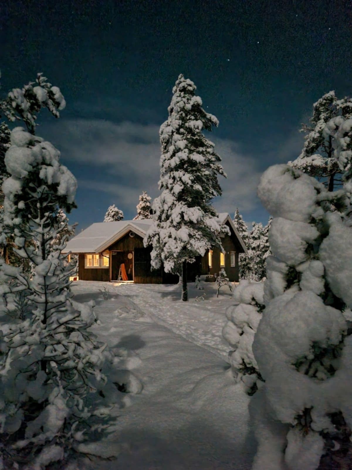 vinter 2.jpg Galleribilde