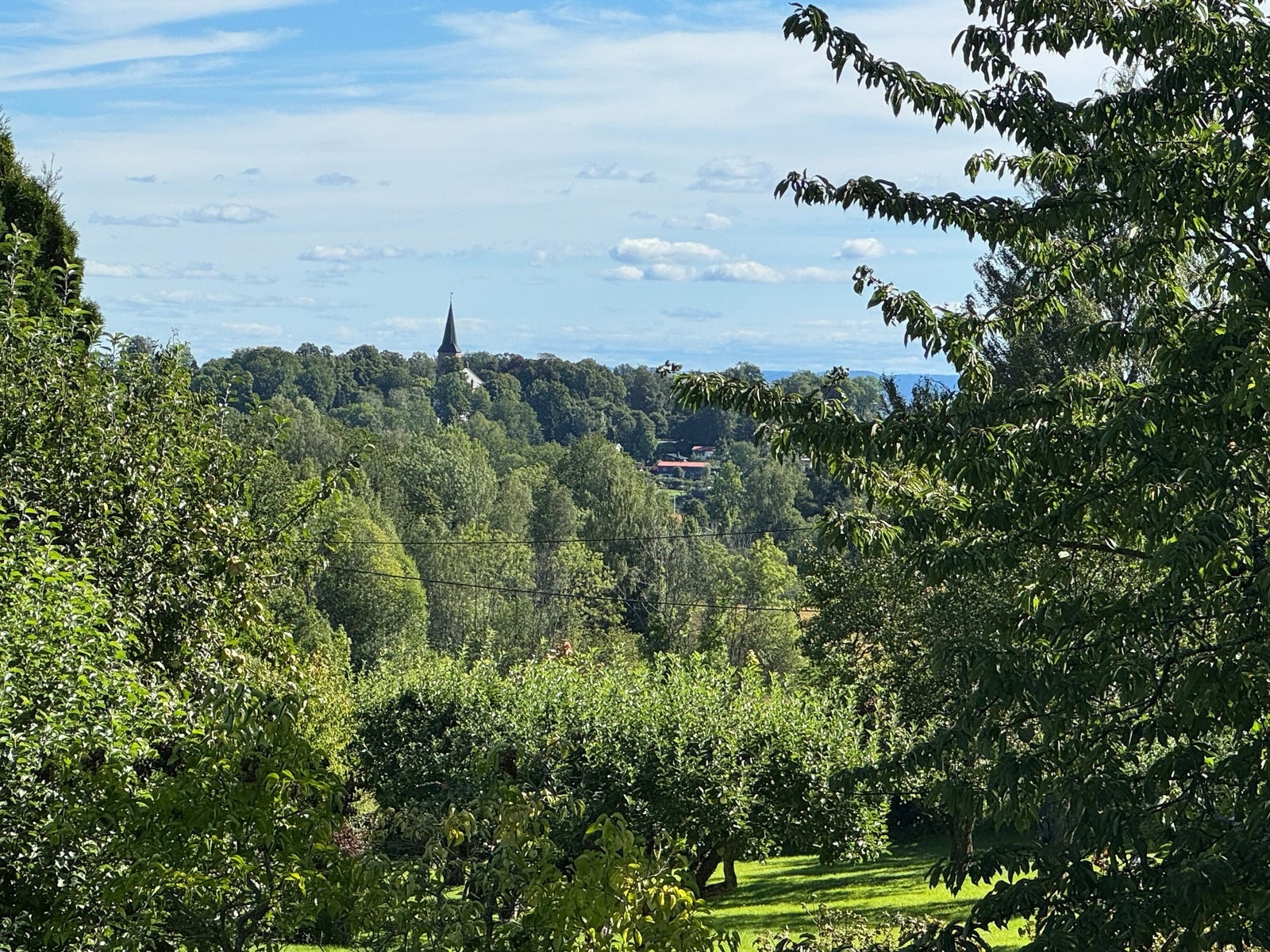 Nydelig utsikt Galleribilde