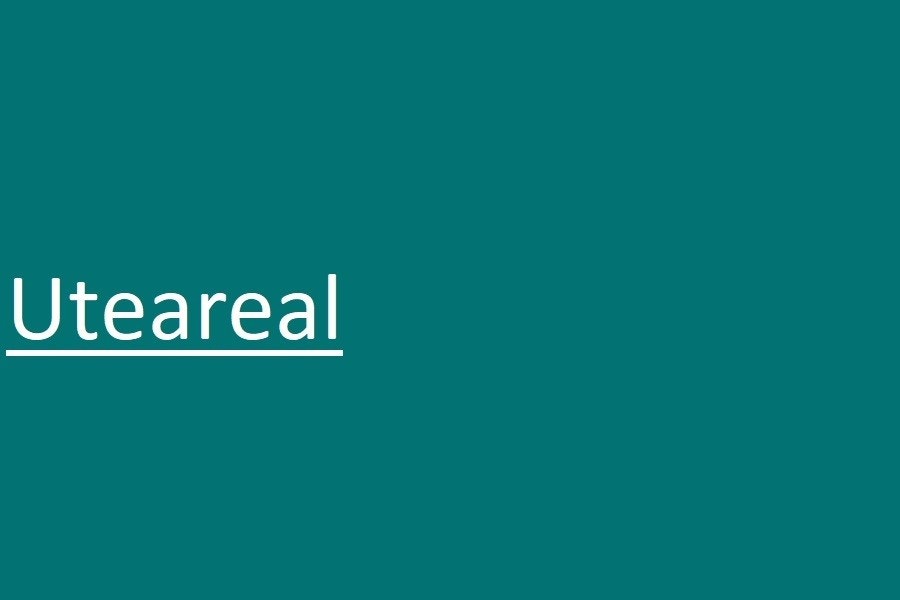 Uteareal Galleribilde