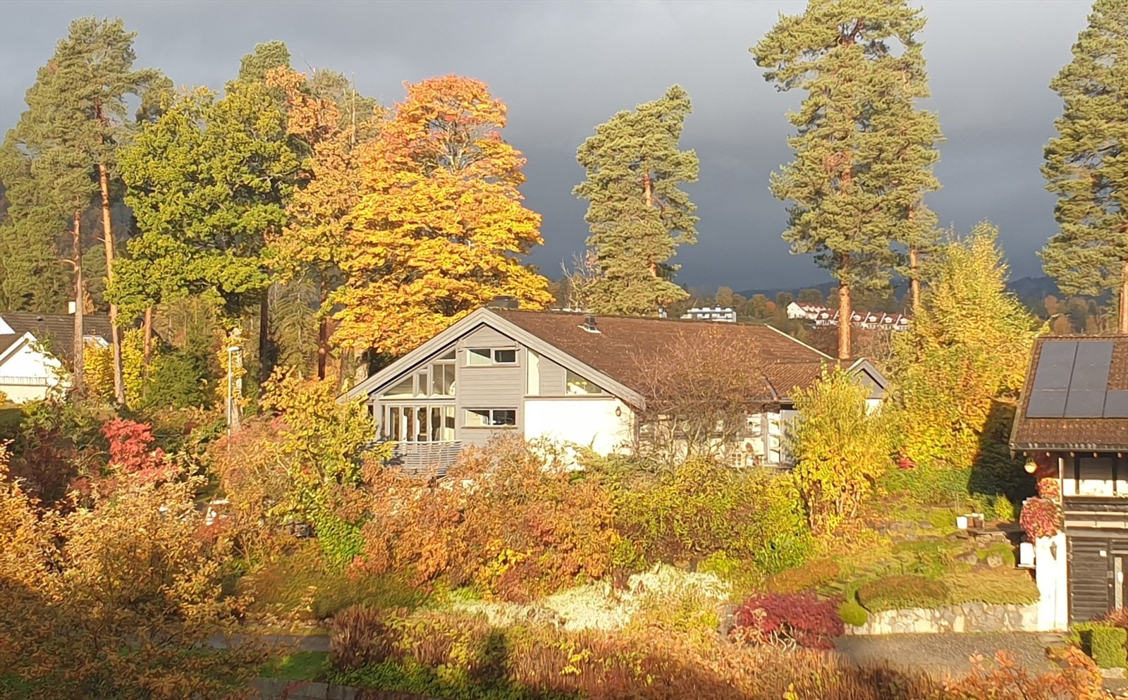 Privat høstbilde Galleribilde