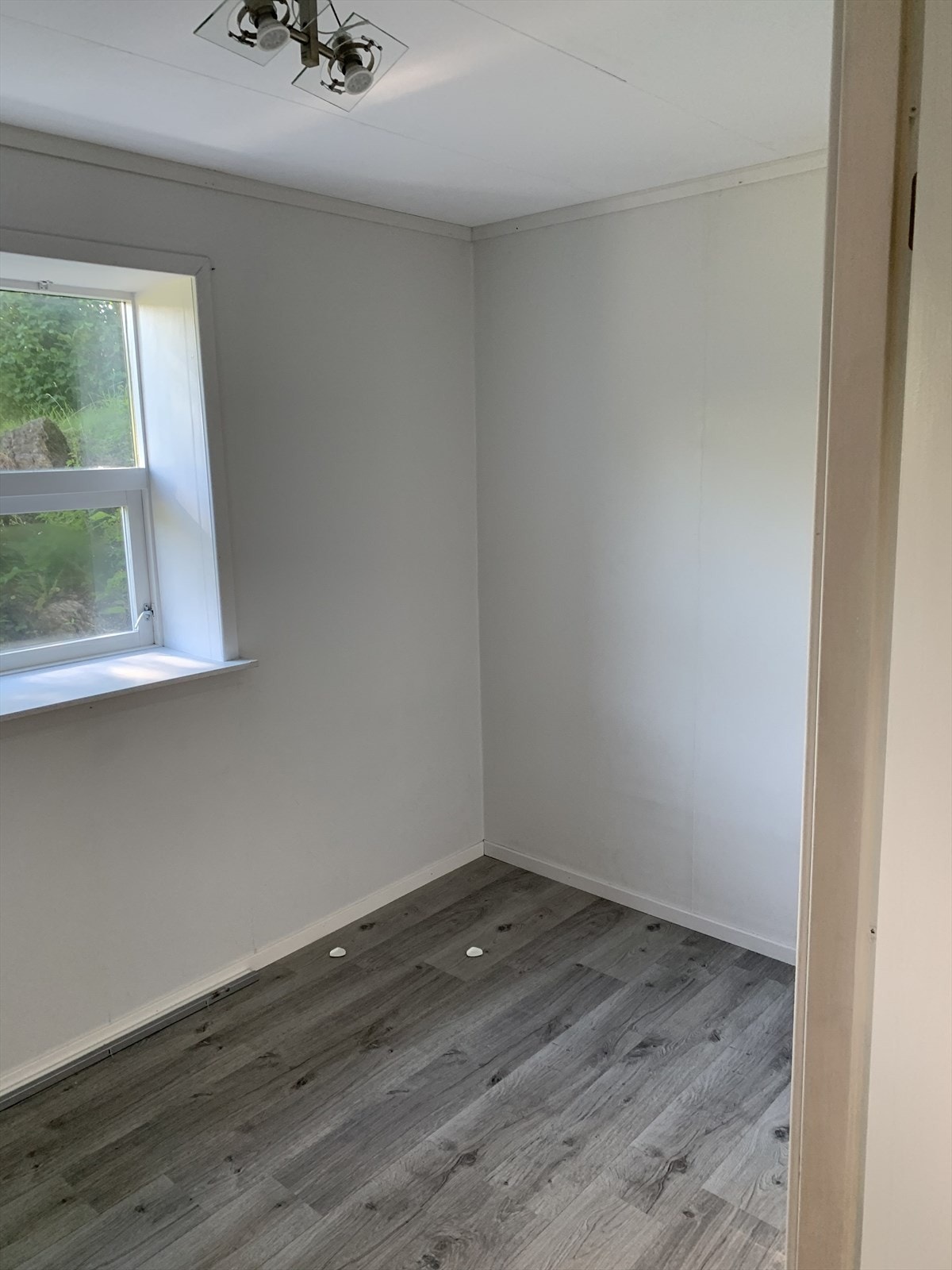 Utleiedel - privat bilde Galleribilde