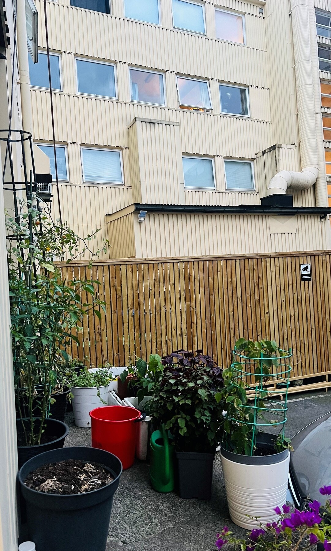 Fellesområder og bakgård overvåkes med kamera og fremstår som trygge (selgers private foto) Galleribilde