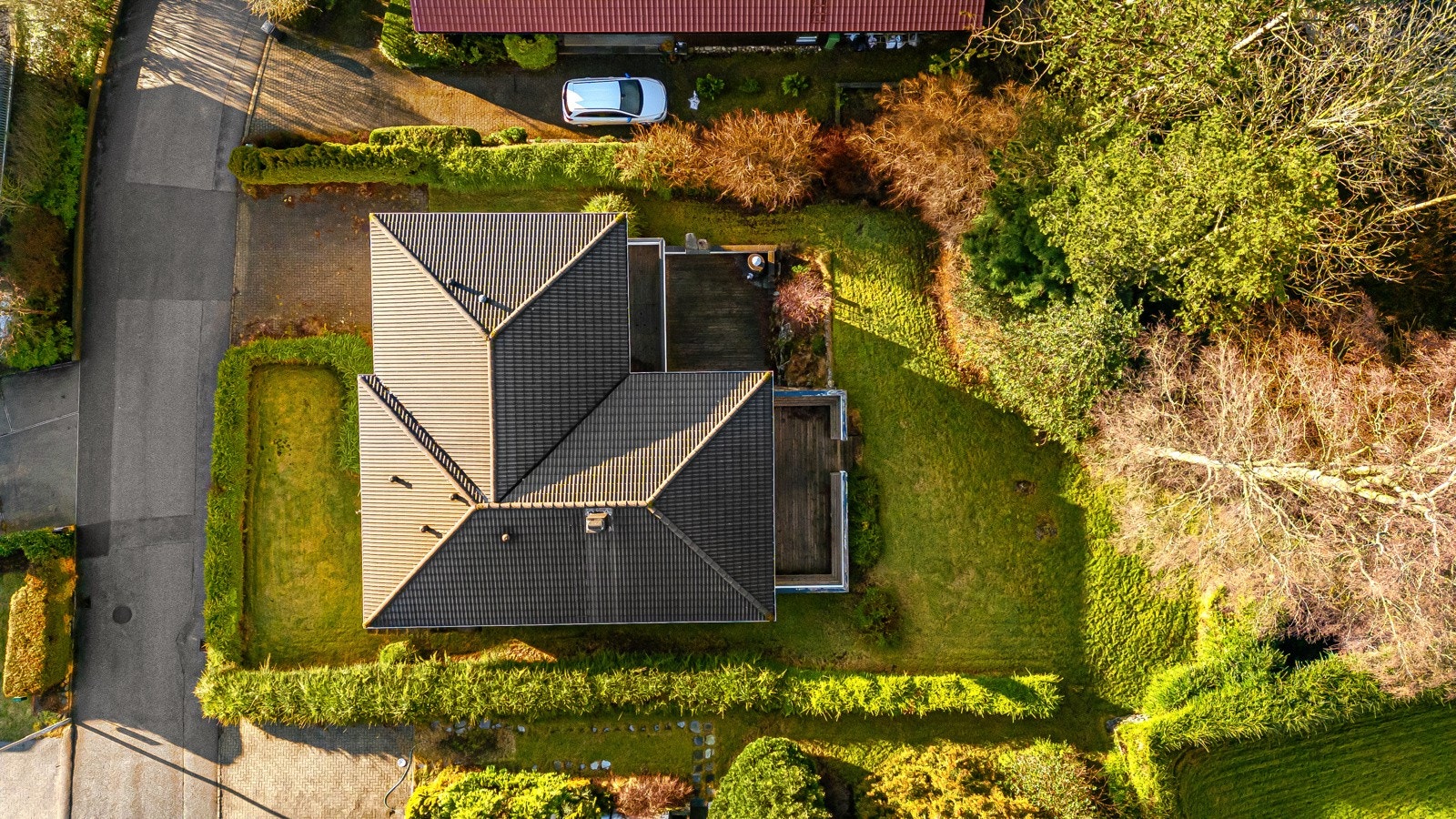 Fugleperspektiv Galleribilde