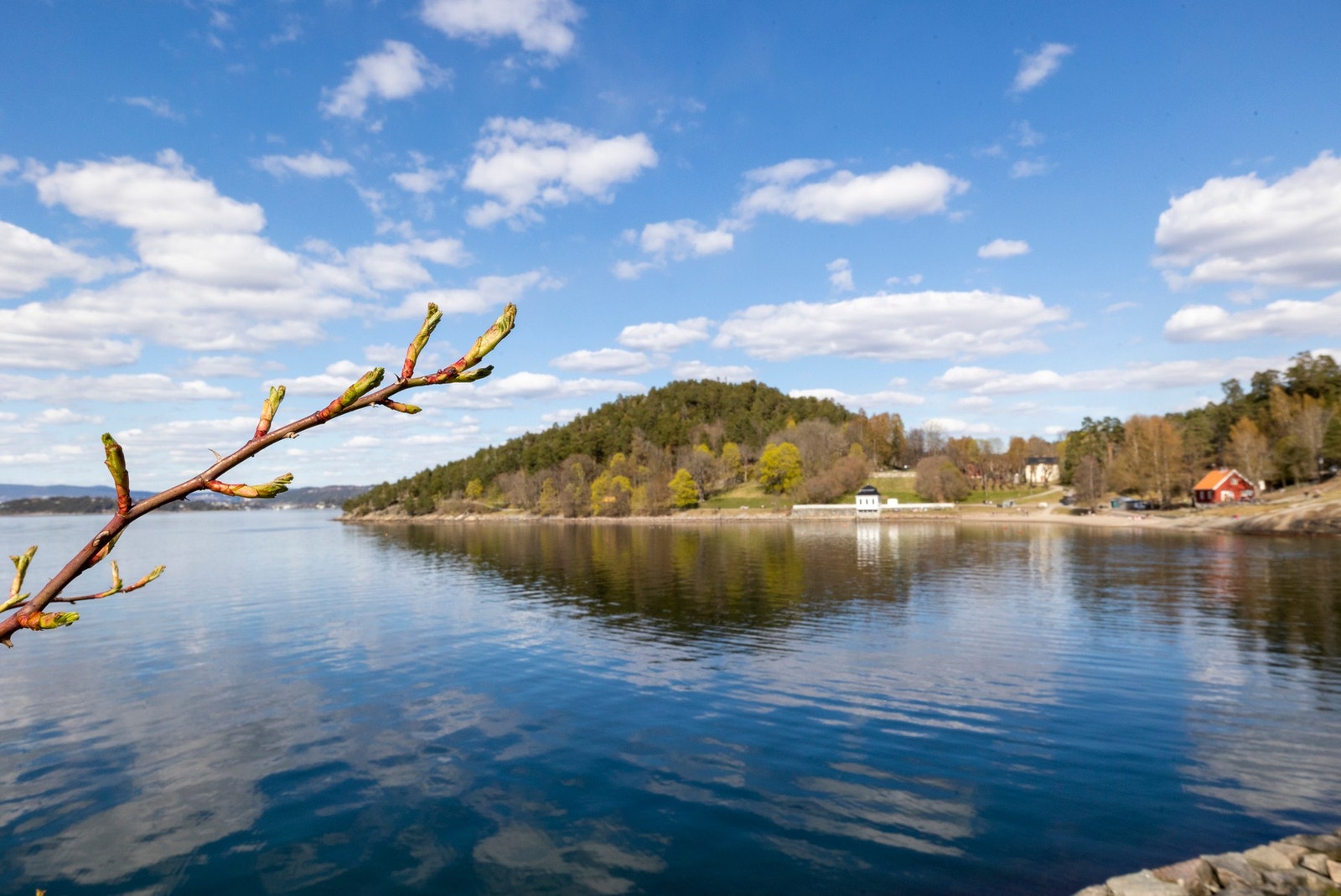 Hvervenbukta. Galleribilde