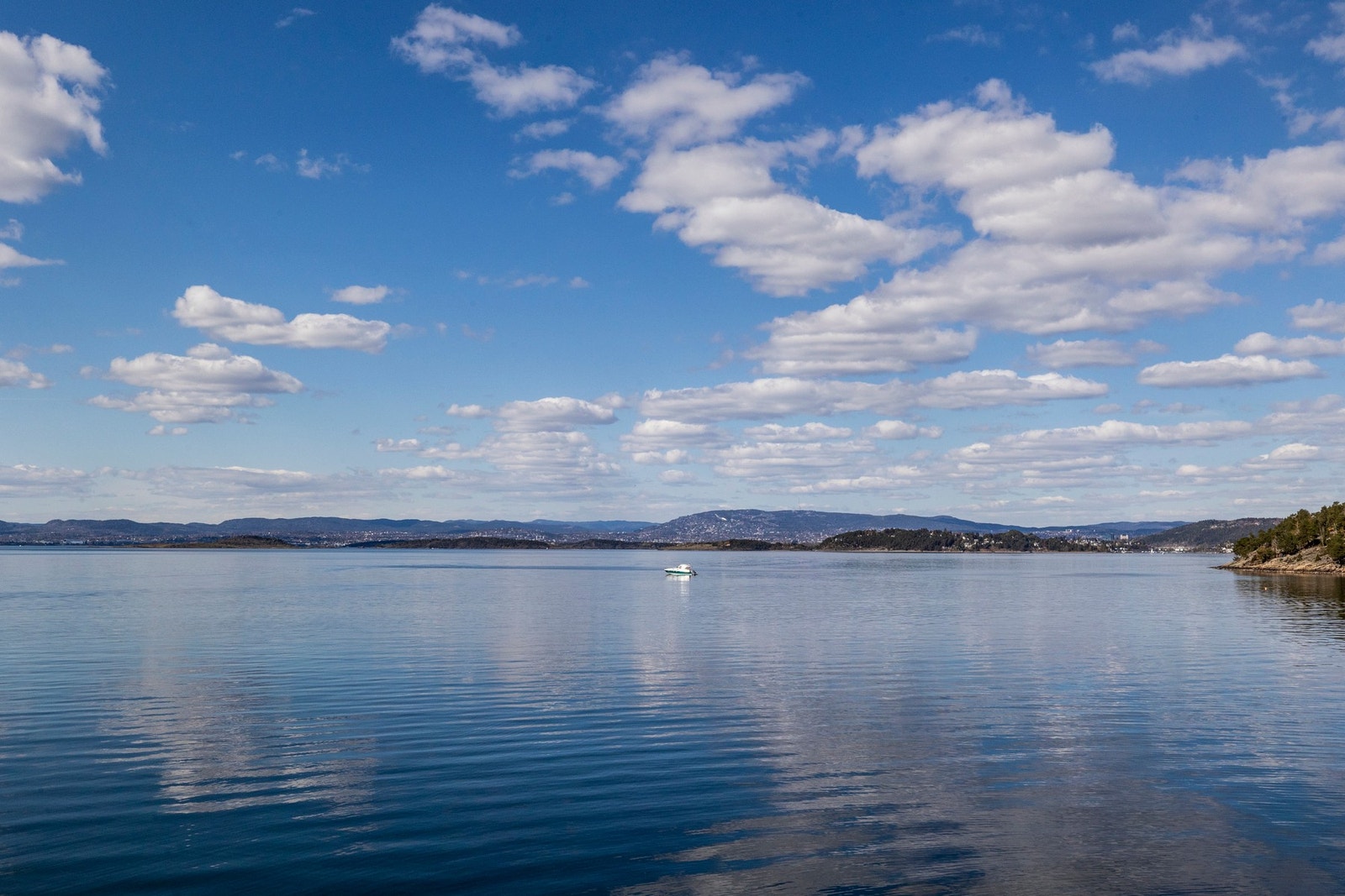 Hvervenbukta. Galleribilde