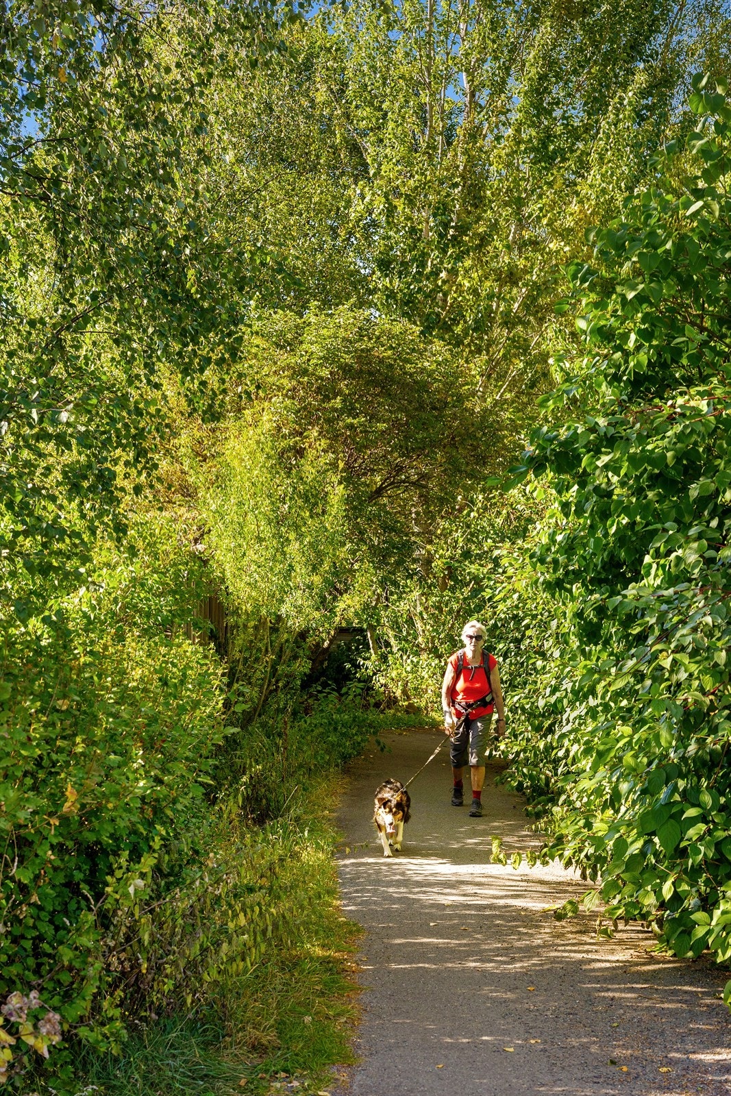 50 meter unna med tursti over til Grini Galleribilde