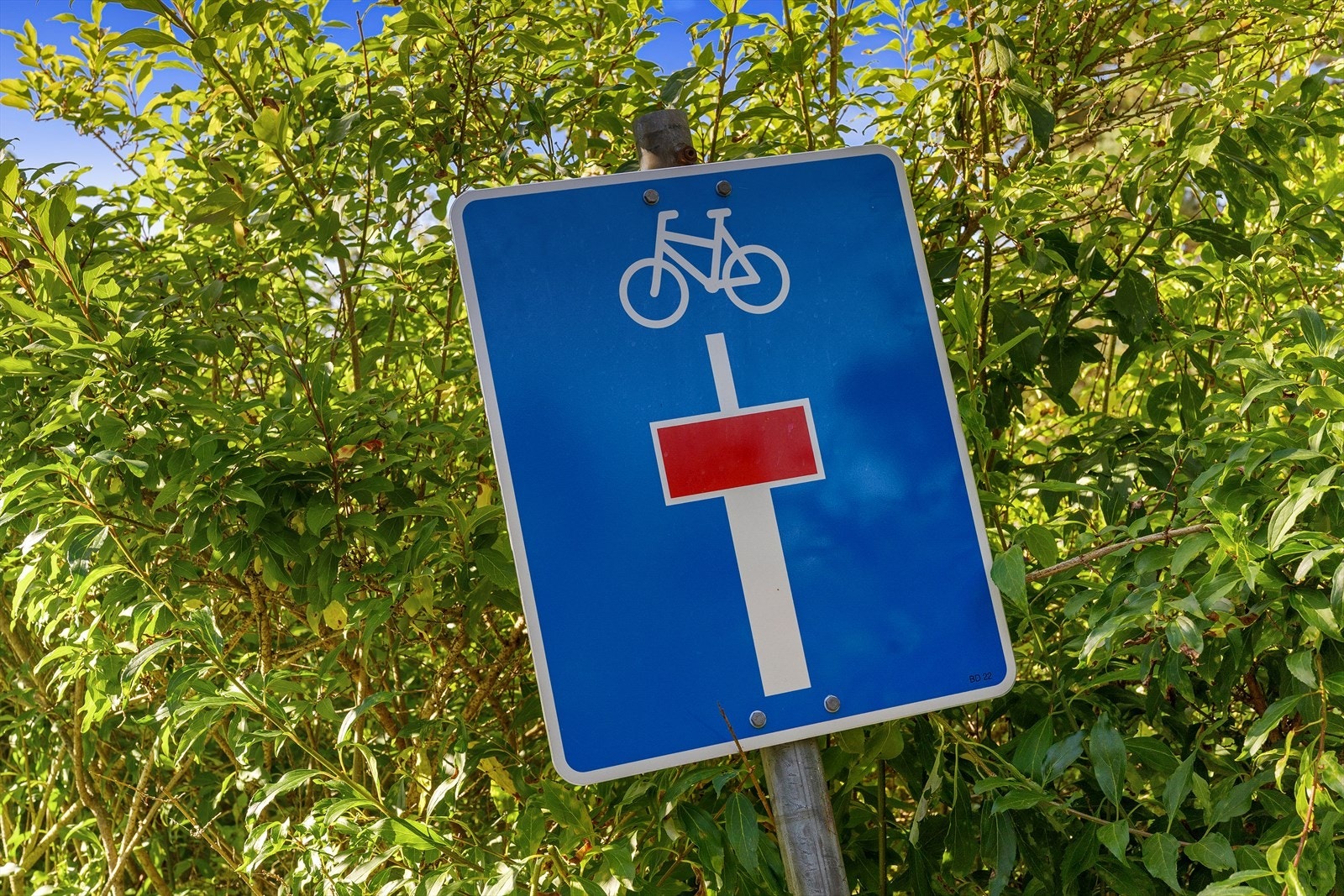 I blindvei Galleribilde