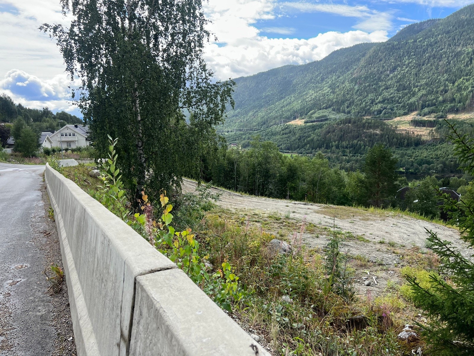 IMG_1236 Galleribilde