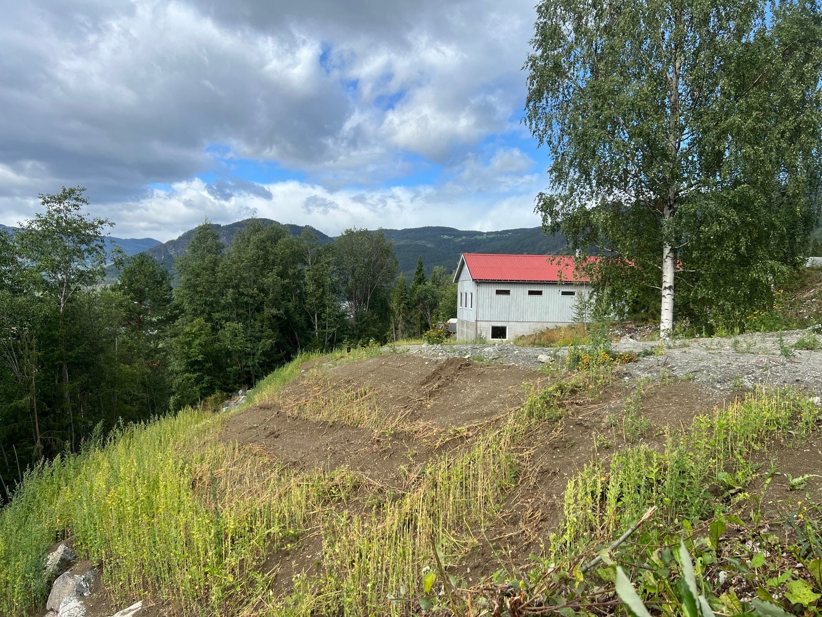 IMG_1279 Galleribilde