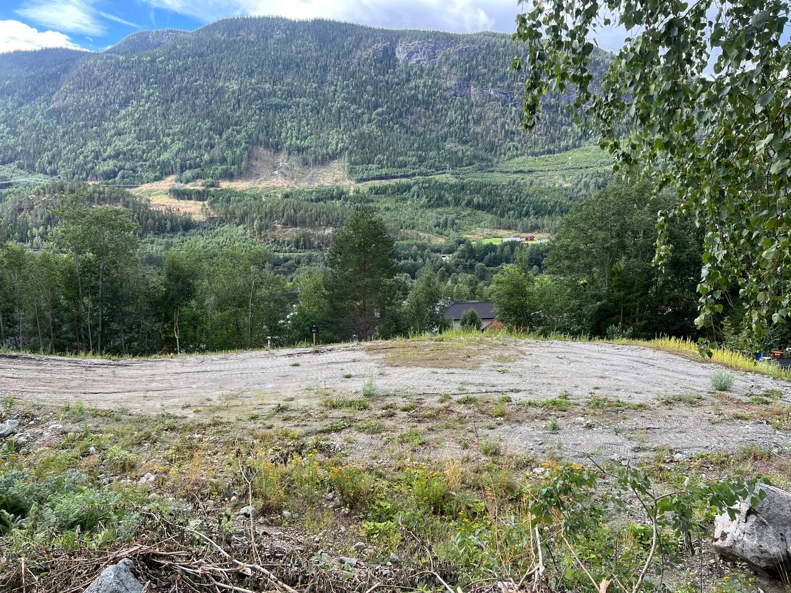 IMG_1235 Galleribilde