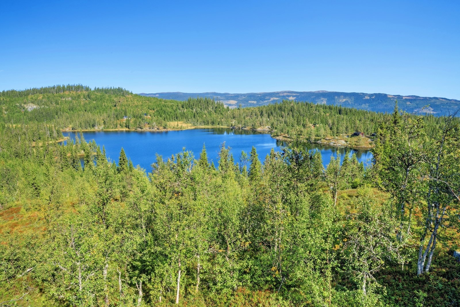 Rett nedenfor hytten i ligger Damtjern, et idyllisk vann perfekt for fisking, bading og rolige stunder ved vannkanten. Galleribilde