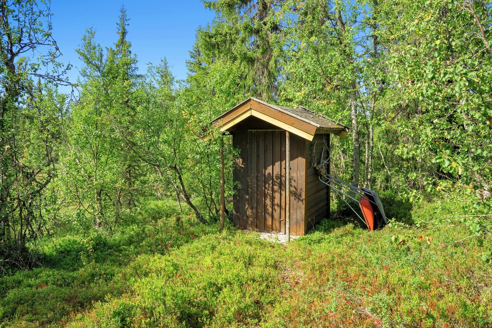 Utedoen. Galleribilde